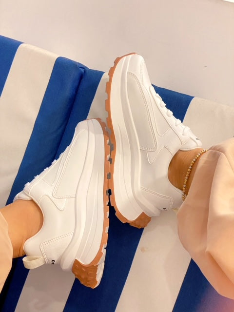 Zapatos Boston con Envío Gratis y Pago al Recibir